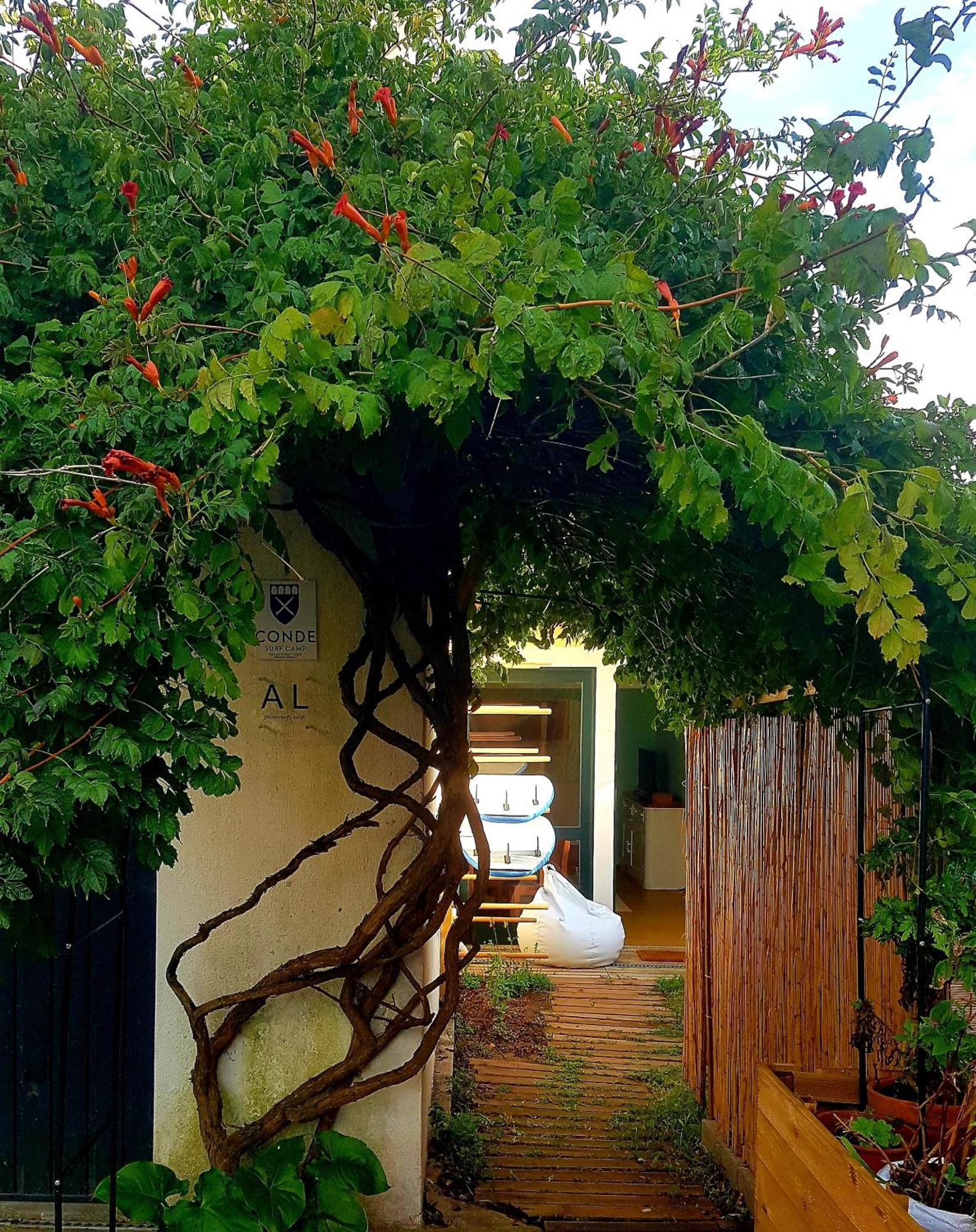 Conde Surf Camp - Junto Ao Mar - Entire Pvt House Vila do Conde Exterior foto